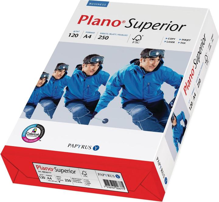 Actual product image Papyrus Plano Superior, from 5 pieces (120 g/m², 250 x, A4)