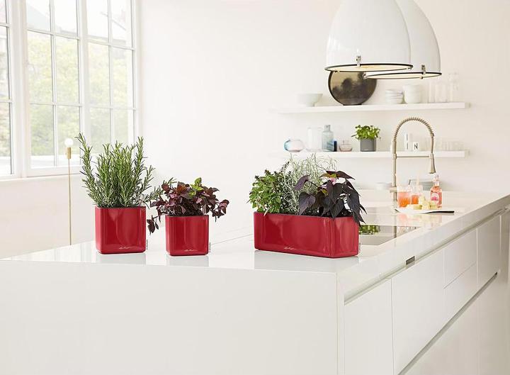 Immagine prodotto Lechuza Cubo lucido 14 (14 cm)