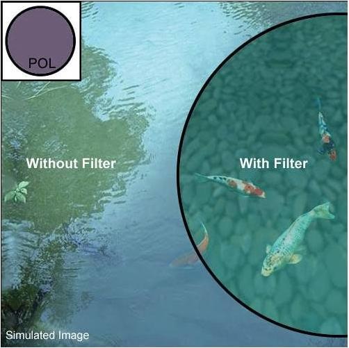 Actual product image Nikon Polarizing Filter Circular II (77 mm, Polarizing filter)