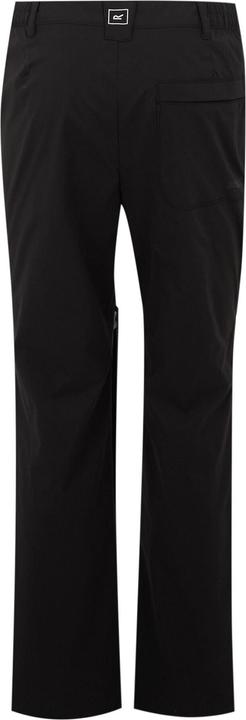 Actual product image Regatta Mens Highton II Hiking Trousers (44)