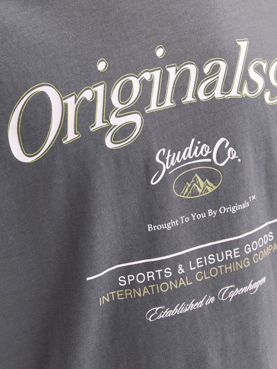 Produktbild Jack & Jones Gedruckt Rundhalsausschnitt T-shirt T-shirt (XL)