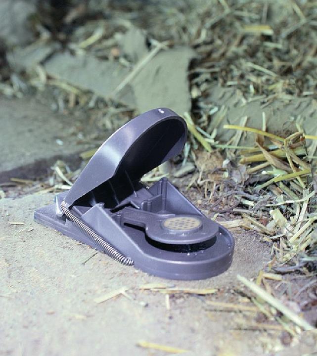 Actual product image Super Cat Mausefalle SuperCat 2er
