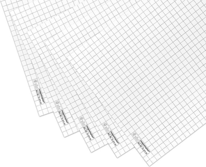 Magnetoplan Flipchart paper 100 sheets, rolled