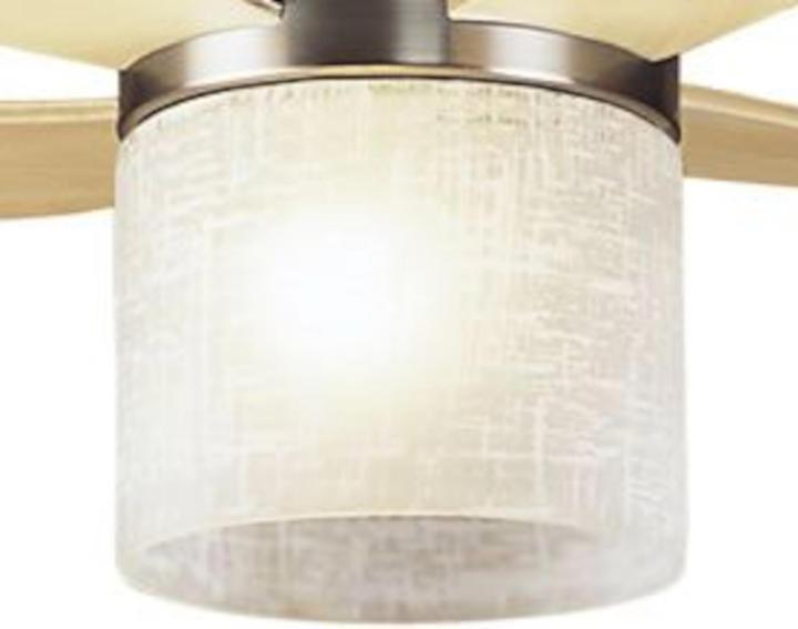 Actual product image Hunter Fans Valhalla