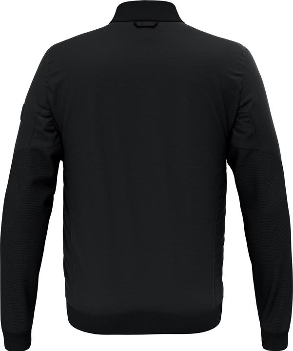Image du produit Salewa Veste Fanes Twr (L)