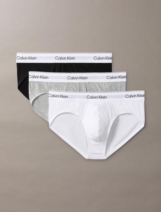 Calvin Klein Hip Brief 3pk
