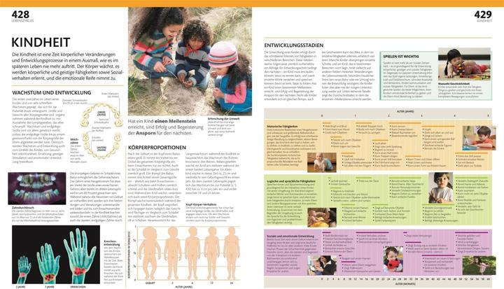 Produktbild Anatomie und Physiologie (Deutsch, Andreas Held, DK Verlag, Simone Blass, Nikola Schmidt, Alice Roberts, 2023)