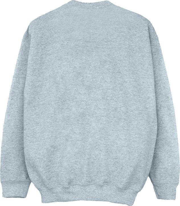 Image du produit Disney - Sweat WINNIE THE POOH BEARS JUST WANNA HAVE SUN - Fille (152, 158)