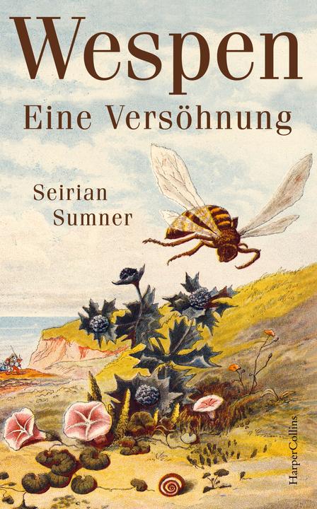 Produktbild Wespen – Eine Versöhnung (Deutsch, Andrea Schmittmann, Seirian Sumner, 2023)