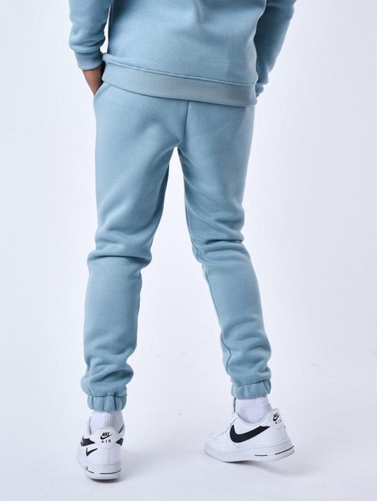 Image du produit Project X Paris jogging (M)