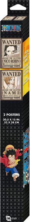 Actual product image GB Eye One Piece - Nami & Robin