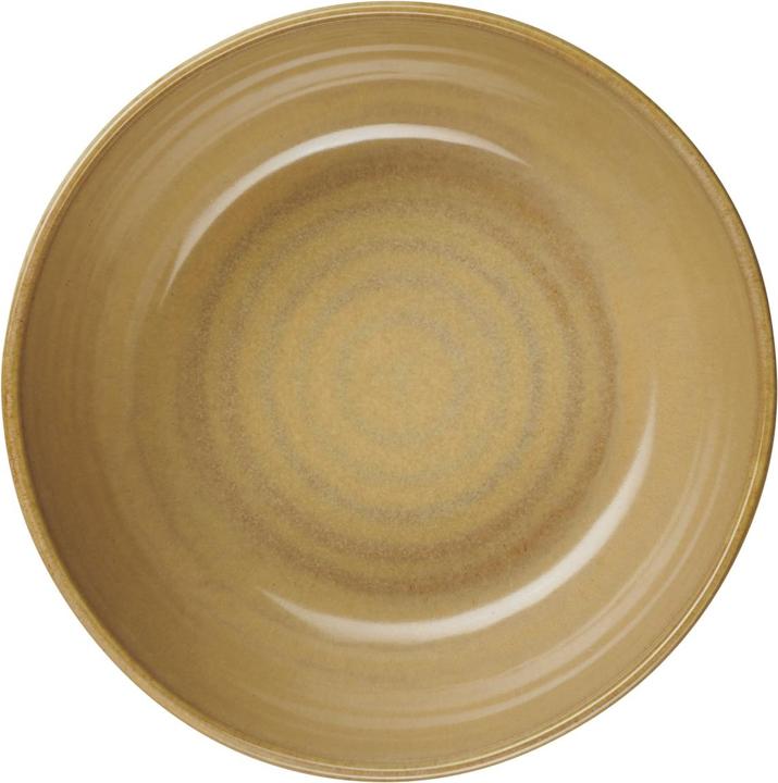 Actual product image ASA Selection ASA COPPA Poke Bowl ginger 18 cm (18 cm, 0.80 l, 1 x)