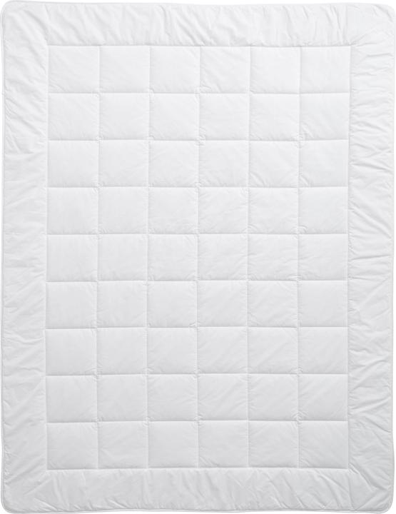 Produktbild Billerbeck Bamboo Uno (2190 g, 240 x 240 cm)
