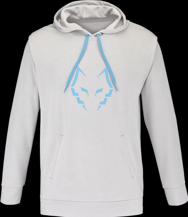 Babolat Hoody Sweat Lebron Man (L)