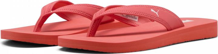 Actual product image Puma Sandy Flip (35.5)