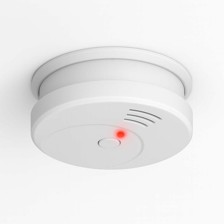 Actual product image Wiltec Rauchmelder 10x