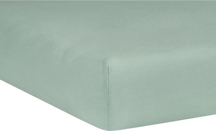 Image du produit Julius Zöllner Drap-housse Jersey Sauge 90 x 40 cm (90 x 40 cm)