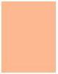 Image du produit Sisley Phyto-Teint Nude (0C Vanille)