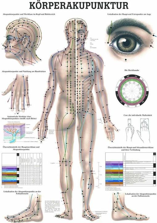 Produktbild Rüdiger Anatomische Lehrtafel Körperakupunktur (5.5 x 5.5 x 70.5 cm)