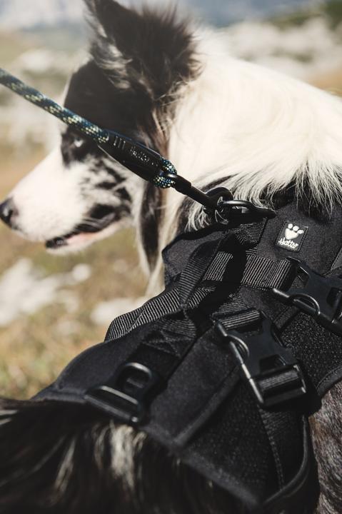 Actual product image Hurtta Backpack incl. Active harness (M, Dog vest)