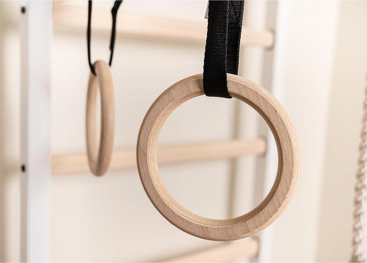 Actual product image BenchK Wall bars 222 with multi pull-up bar, rope & rings