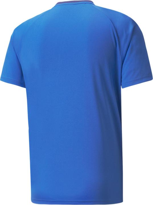 Actual product image Puma teamVISION Jersey-704921 (M)