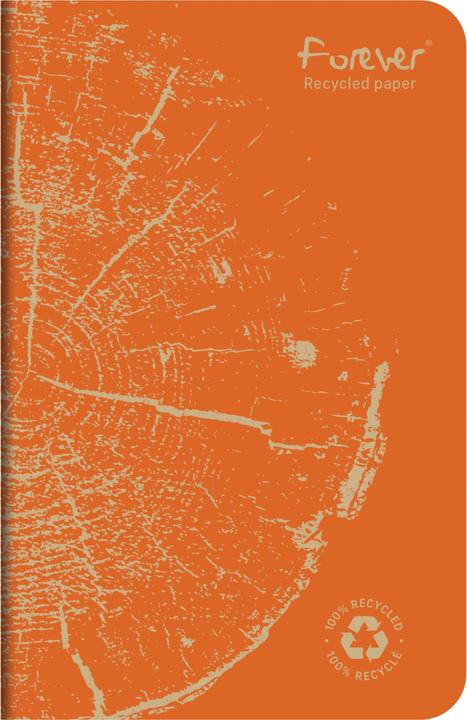 Image du produit Calligaphe Carnet piqué FOREVER PREMIUM 100% recyclé 9x14cm 96 pages ligné papier recyclé blanc 90 g - (Blanc, Couverture souple)