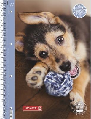 Produktbild HUND - Collegeblock (A4, Kariert)