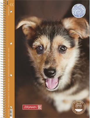 Immagine prodotto CANE - quaderno del college (A4, Righe)