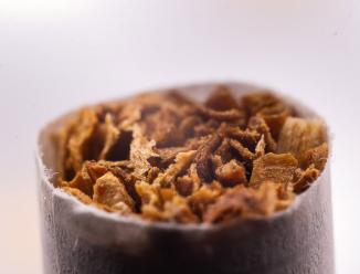 Actual product image Laowa 50mm f/ 2.8 2X Apo MFT (Micro Four Thirds, Micro Four Thirds)