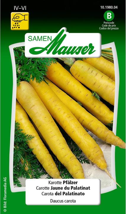Veg