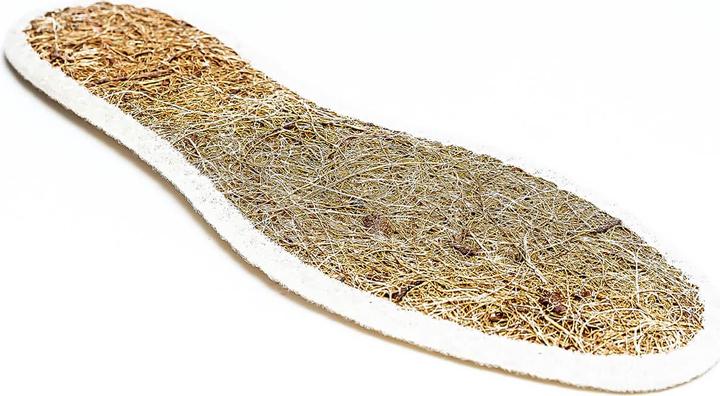 Actual product image Collonil Fresh & Dry
