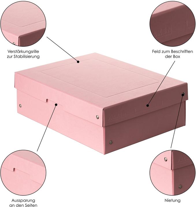 Actual product image Falken Pure Box (A4)