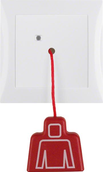 Actual product image Berker Pull switch