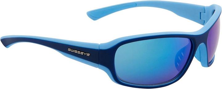 Swiss Eye Herren Freeride Radbrille (Dark Blue Matt, Smoke)