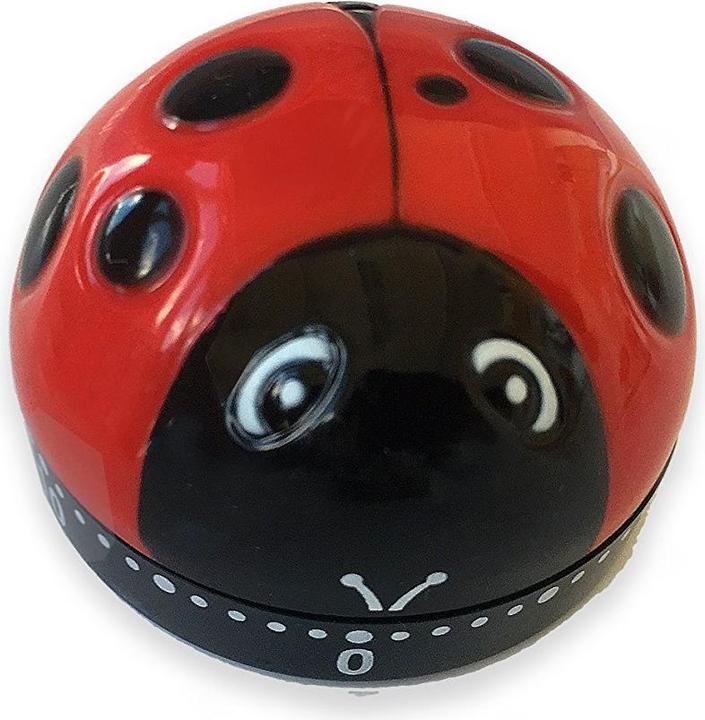 Actual product image ADE Ladybird