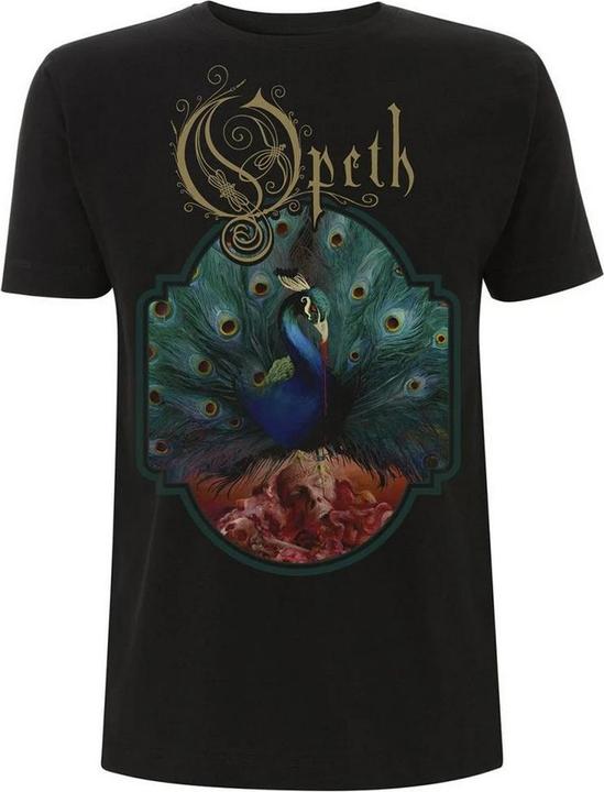 Actual product image Universal Textiles Unisex Adult Sorceress T-Shirt (L)
