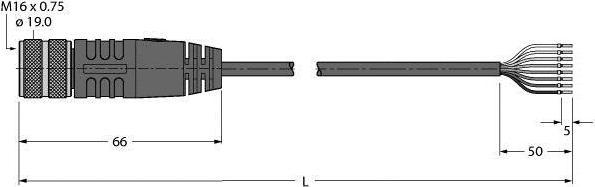 Produktbild Turck Industrielle Sensorleitung PVC-Kabelmantel BKM14-E01-5/TEL (5 m)