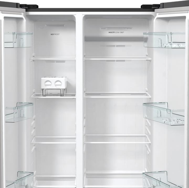 Actual product image Gorenje NRR9185EABXL (550 l)