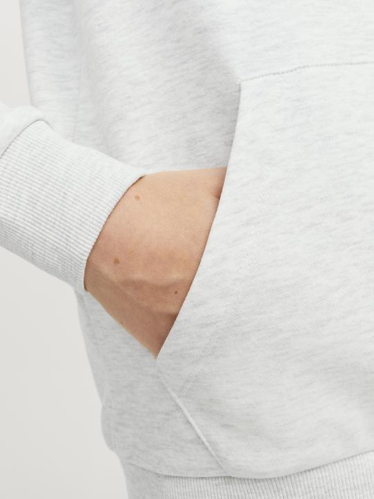 Immagine prodotto Jack & Jones Jjecaleb Varsity Sweat Hood Noos Jnr (176)