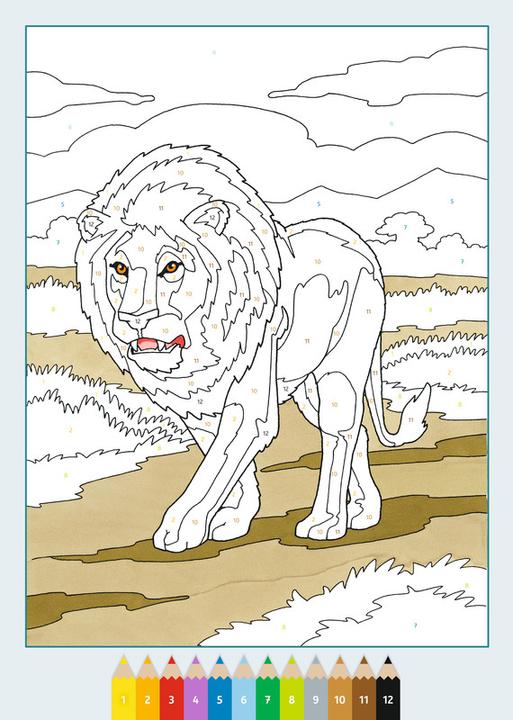 Produktbild Ravensburger Malbuch Malen nach Zahlen