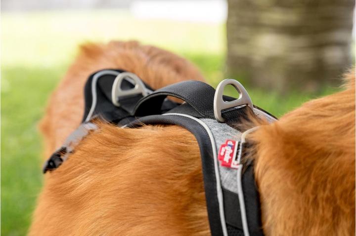 Produktbild Curli Geschirr Magnetic Belka Comfort (XL, Hund, Allgemein, Spazieren)