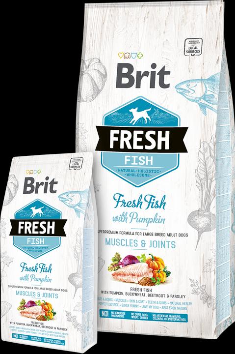 Produktbild Brit Fresh Dog fish with pumpkin Adult Large 2,5kg (Adult, 2500 g)