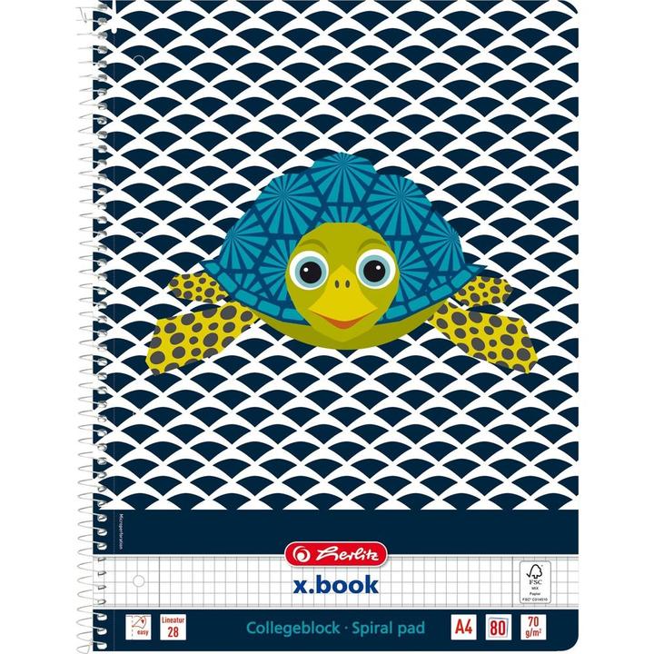 Image du produit Herlitz 50039203 Carnet de notes 80 feuilles Multicolore (A4, Quadrillé, Couverture souple)