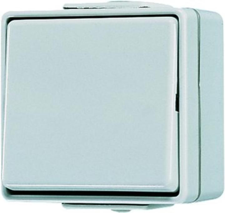 Actual product image Jung Polykontakt Rocker switch surface-mounted, with marking I 0, Off 2-pole, grey