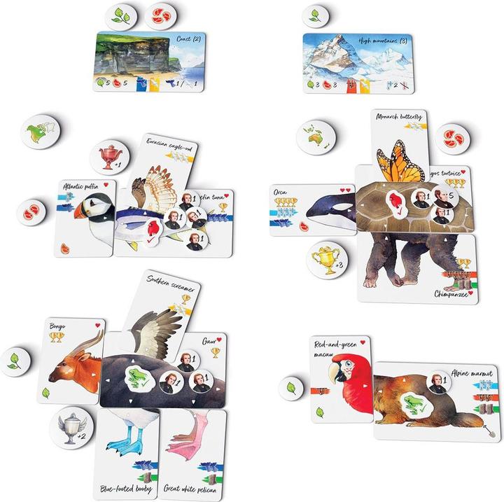 Produktbild Treeceratops Darwin's Choice (Deutsch)