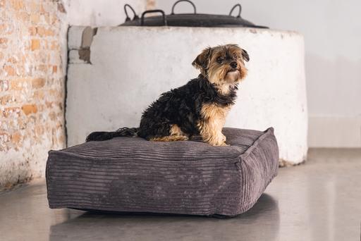Actual product image Designed by Lotte Ribbed (Dog)