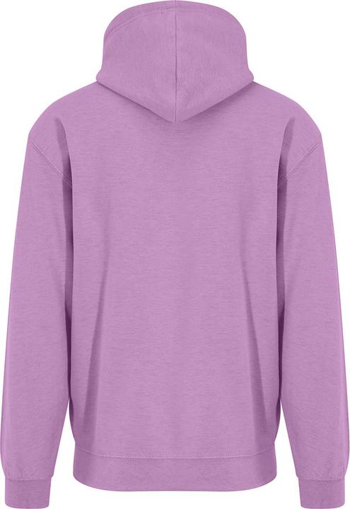 Actual product image Awdis Womens/Ladies Surf Hoodie (XS)