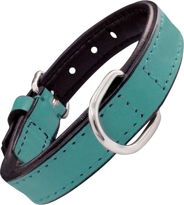 Immagine prodotto Gloria Collare per cani imbottito Turchese 50 cm (50 x 2,5 cm) (Cane, Generale)