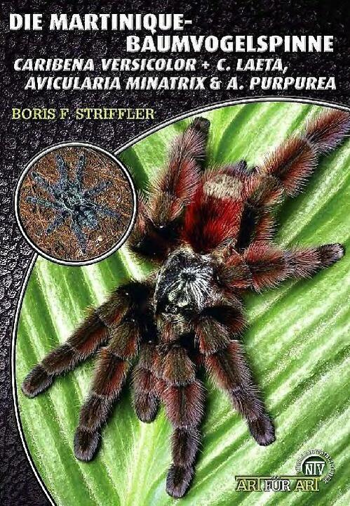 Immagine prodotto Die Martinique-Baumvogelspinne (Tedesco, Boris F. Striffler, 2021)